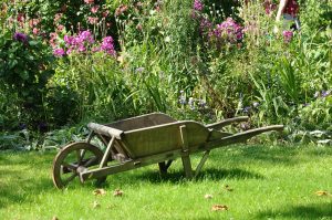 wheelbarrow, garden, vegetable garden, gardening, field, gardener, wheelbarrow, wheelbarrow, wheelbarrow, nature, garden, vegetable garden, vegetable garden, vegetable garden, vegetable garden, vegetable garden